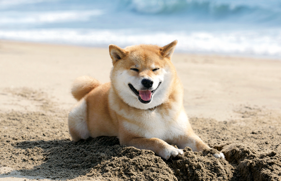 サムネイル9