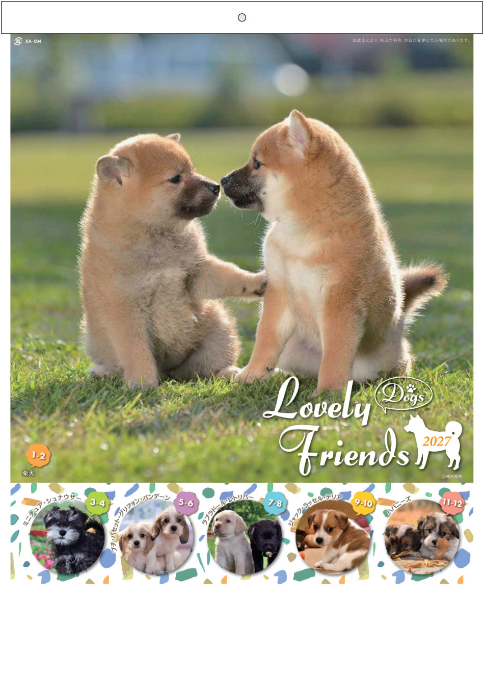 愛犬サンプル写真 XA-004 ラブリーフレンズ(犬) 2027年カレンダー かわいさ満点！人気の