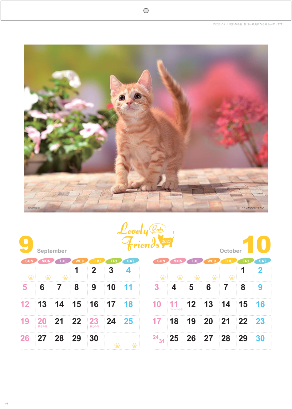サムネイル6