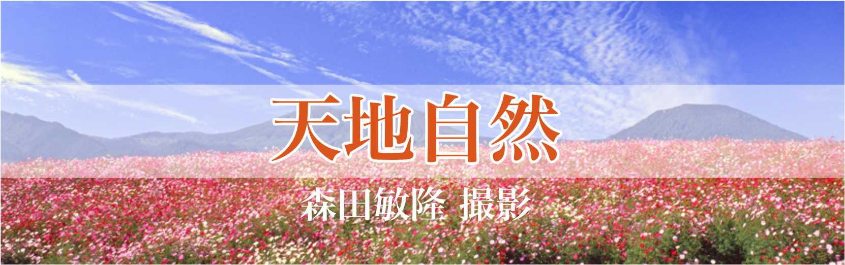 天地自然 2025年カレンダー