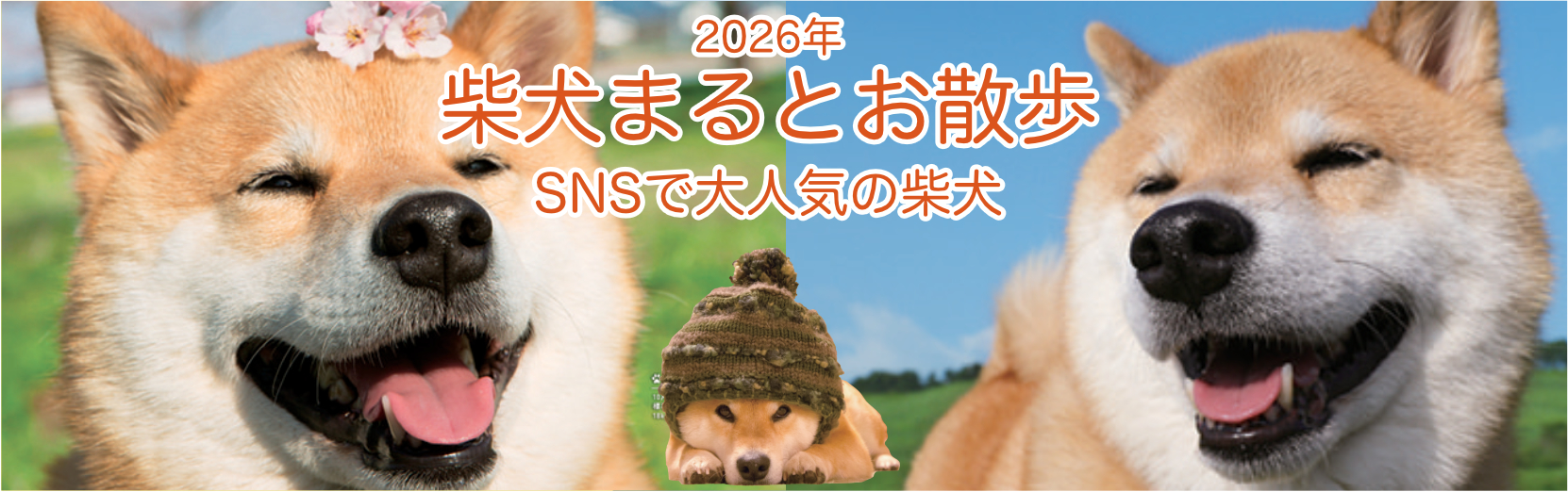 柴犬まる 2026年版カレンダー